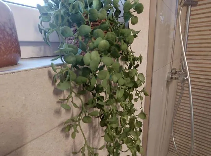 Na Gwizdowce 9 * Zalakowo